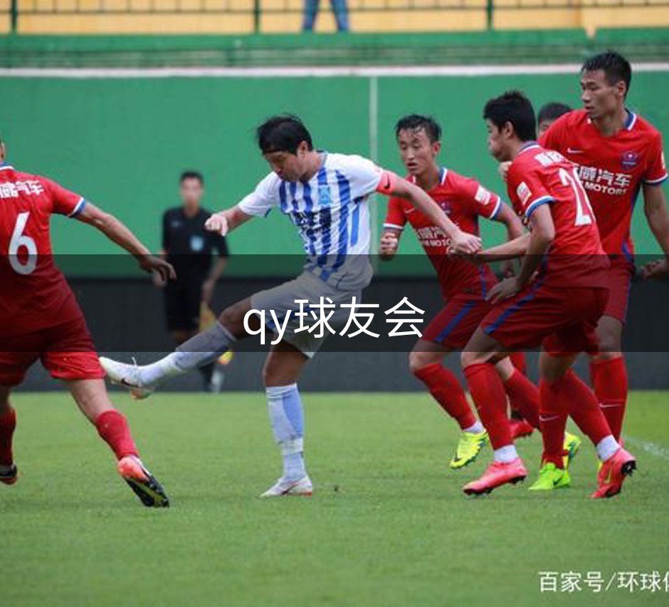 网站定位